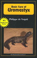 Basic Care of Uromastyx