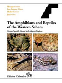 The Amphibians and Reptiles of Western Sahara