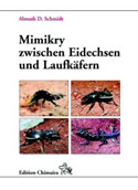 Mimikry zwischen Eidechsen und Laufkfern