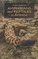 A Field Guide to Amphibians and Reptiles in Arizona