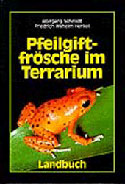 Pfeilgiftfrsche in Terrarium