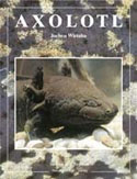 Axolotl