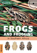 Frogs and Frogging in Southern Africa