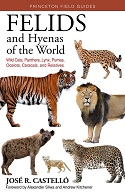 Felids and Hyenas