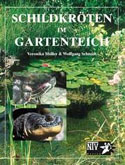 Schildkröten in Gartenteich