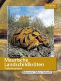 Maurische Landschildkrten