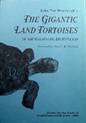 The Gigantic Land Tortoises of the Galapagos Archipelago