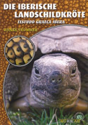 Die Iberische Landschildkröte Tesudo graeca ibera